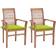 vidaXL 3062595 2-pack Garden Dining Chair