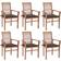 vidaXL 3072946 6-pack Garden Dining Chair