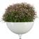 Gardena ClickUp Flower Bowl