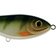 Strike Pro Leurre Jerkbait CWC Buster Jerk 15cm Coloris CWC 76 Natural Perch