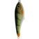 Strike Pro Leurre Jerkbait CWC Buster Jerk 15cm Coloris CWC 76 Natural Perch