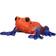 Mojo Poison Dart Tree Frog