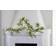 Star Trading Garland Lummer Green Ljusslinga 20 Lampor