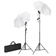 vidaXL Fotostudioset met lampen, paraplu's, achtergrond en reflector Zwart