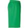 Uhlsport Club Shorts Unisex - Green/White