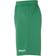 Uhlsport Center Basic - Vert