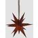 Star Trading December Brown Julestjerne 45cm