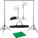 vidaXL Photo Studio with Backgrounds, Lamps and Umbrellas 300x300cm Green