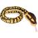 Wild Republic Snakesss Ball Python