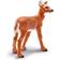 Safari Whitetail Fawn 180229