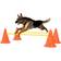 vidaXL Dog Activity Obstacle Set