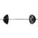 Gymstick Painonnostotanko Lifting Bar, 10kg