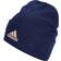 Adidas Logo Beanie Unisex - Victory Blue/Halo Blush