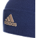 Adidas Logo Beanie Unisex - Victory Blue/Halo Blush