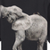 Molo Rube - Elephant (1S22A406-7620)