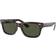 Ray-Ban Homme Sunglass RB2283 - Couleur de Lentille Vert