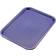 Zodiac Fast Food Serving Tray