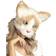 Vegaoo Katt Halvmask