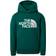 The North Face Youth Drew Peak Hoodie - Night Green (NF0A33H4)