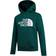 The North Face Youth Drew Peak Hoodie - Night Green (NF0A33H4)