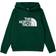 The North Face Youth Drew Peak Hoodie - Night Green (NF0A33H4)