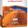 Lamberts Turmeric 20000mg 60 st