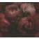 Living Walls Papier peint vintage motif fleuri rouge & noirTapisserie bordeaux florale style romantique Papier peint rétro motif de roses Rouge
