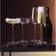 LSA International Wine Culture Champagneglas 33cl 2st