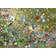 Schmidt Parrot Jungle 1000 Pieces