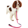 Joules Dogline