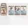 Top Trumps Dogs