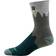 Darn Tough Number 2 Micro Crew Midweight Hiking Sock Men - Green