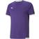 Puma TeamLIGA Football Jersey Men - Prism Violet/White