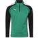 Puma teamLIGA Quarter-Zip Sweatshirt Men - Pepper Green/Black