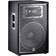 JBL JRX215 Altoparlante PA 38 cm 15 Pollici 250 W 1 pz