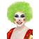 Smiffys Crazy Clown Wig Green