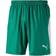 Puma Liga Shorts Men - Pepper Green/White