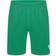 Puma Liga Shorts Men - Pepper Green/White