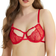 Bluebella Enya Bra - Red