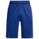 Under Armour Raid 2.0 Herren Shorts Knielang Royal