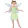 Wicked Costumes Neverland Alv Barnekostyme