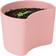 Stelton Your Tree Planting Pot with Seeds Krukke