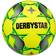 Derbystar Futsal Basic Pro Light