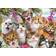 Schmidt Spiele Cat Selfie 500 Pieces