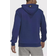 Adidas Sportswear Future Icons Logo Graphic Hoodie Men - Victory Blue