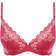 Wacoal Lace Perfection Plunge Push Up Bra - Honeysuckle