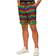 OppoSuits Wild Rainbow Shorts Costume