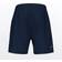 Head Club Shorts - Bleu