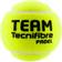 Tecnifibre Team - 3 Balles