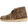 Clarks Desert Boot - Leopard Print Pony